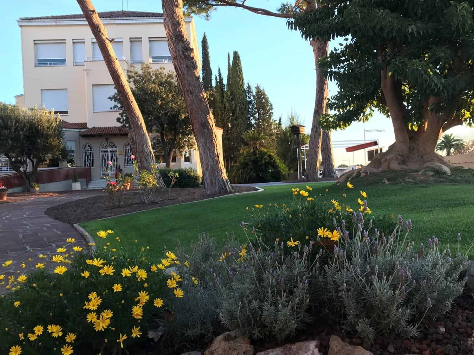 Un jardín amplio y bien cuidado con césped verde, varios árboles grandes y un camino de grava que conduce hacia un edificio de color claro con ventanas arqueadas. Se aprecian flores amarillas y lavanda en primer plano.