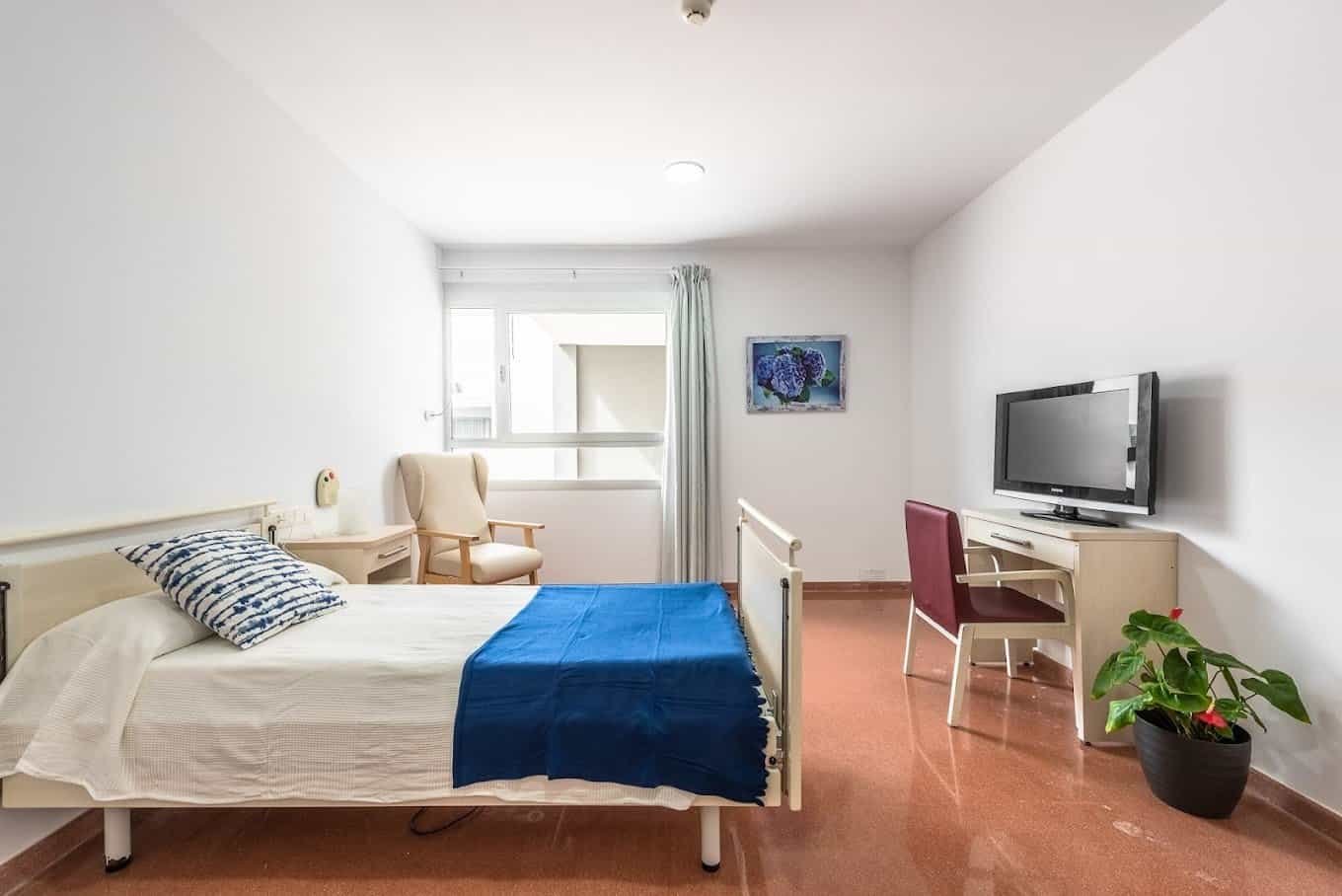 Habitación individual moderna y luminosa con paredes blancas y suelo de terrazo. Cuenta con una cama con edredón azul, un sillón de lectura, un escritorio con televisión y una ventana con cortinas azules. Una maceta con una planta y un cuadro de flores decoran el espacio.