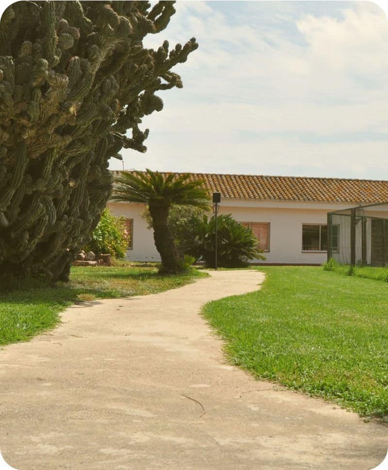 Camino ajardinado que conduce a un edificio con tejado de tejas, rodeado de vegetación.