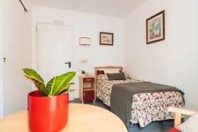 Habitación individual con una cama, una mesilla de noche de color rojo, un cuadro y una planta en primer plano.