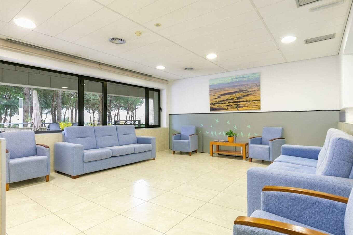 Sala de estar de la residencia, un espacio luminoso con residentes sentados en sillones, con una gran ventana y un cuadro abstracto en la pared.